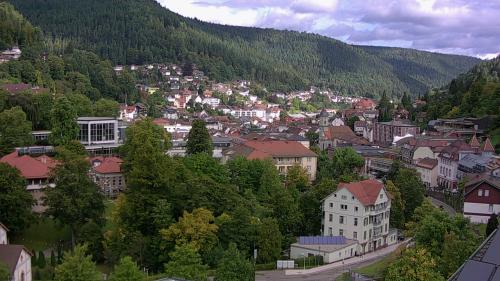 Webcam Bad Wildbad
