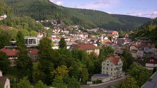 Webcam Bad Wildbad
