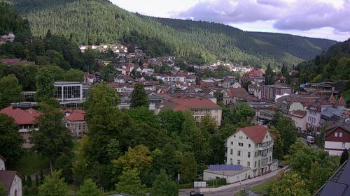 Webcam Bad Wildbad