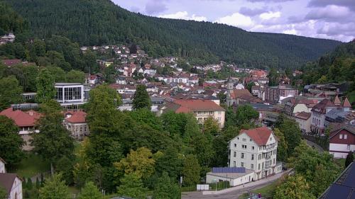 Webcam Bad Wildbad