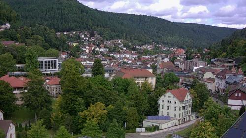 Webcam Bad Wildbad