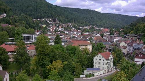 Webcam Bad Wildbad
