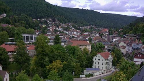 Webcam Bad Wildbad