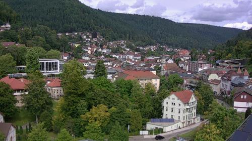 Webcam Bad Wildbad