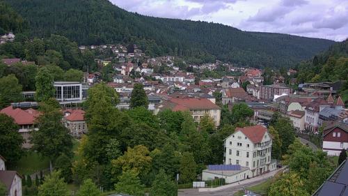 Webcam Bad Wildbad