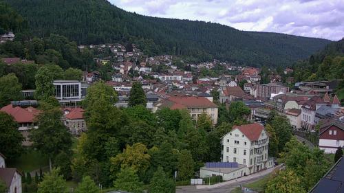 Webcam Bad Wildbad