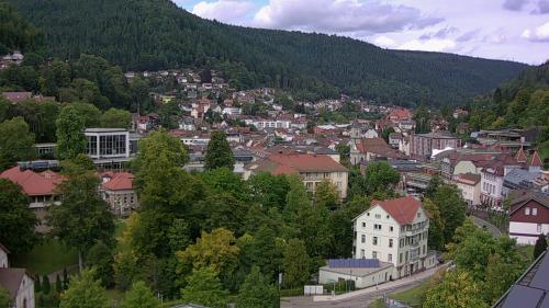 Webcam Bad Wildbad