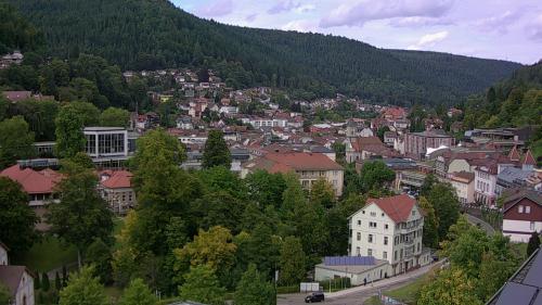 Webcam Bad Wildbad