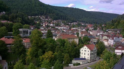 Webcam Bad Wildbad