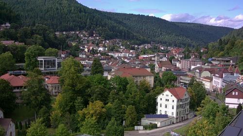 Webcam Bad Wildbad