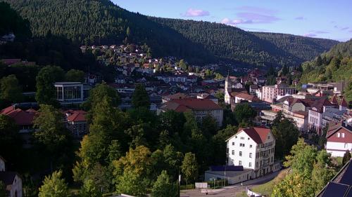 Webcam Bad Wildbad
