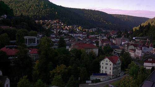 Webcam Bad Wildbad