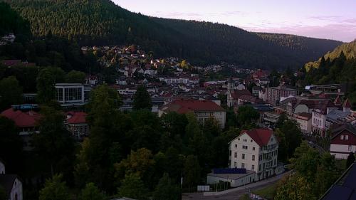 Webcam Bad Wildbad