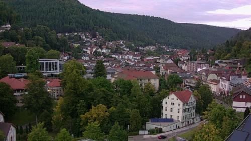 Webcam Bad Wildbad