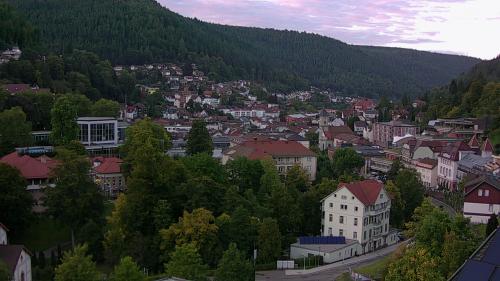 Webcam Bad Wildbad