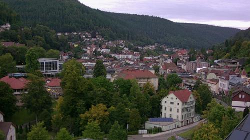 Webcam Bad Wildbad