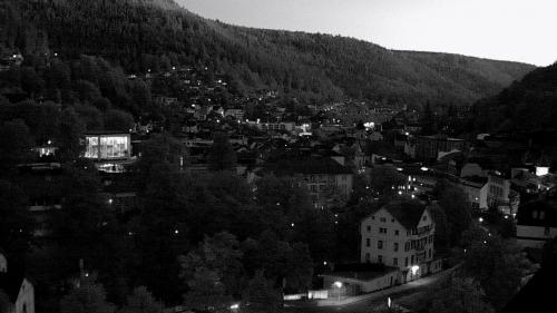 Webcam Bad Wildbad