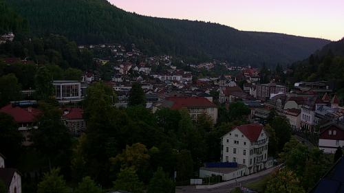 Webcam Bad Wildbad