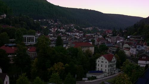 Webcam Bad Wildbad