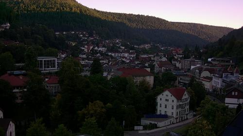 Webcam Bad Wildbad