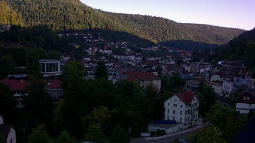 Webcam Bad Wildbad