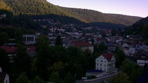 Webcam Bad Wildbad