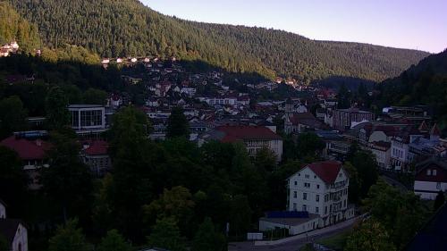 Webcam Bad Wildbad