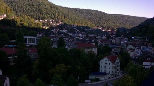 Webcam Bad Wildbad