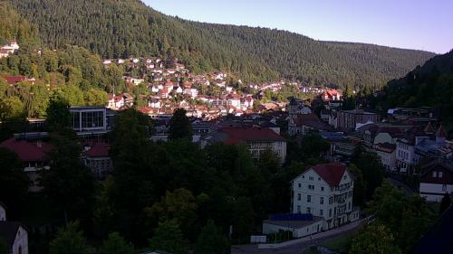 Webcam Bad Wildbad