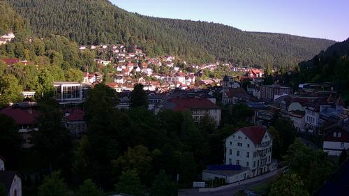 Webcam Bad Wildbad