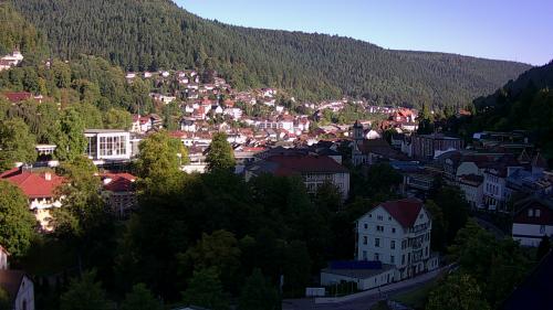 Webcam Bad Wildbad