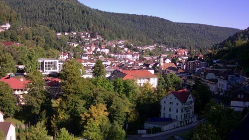 Webcam Bad Wildbad