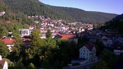 Webcam Bad Wildbad