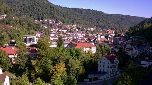 Webcam Bad Wildbad
