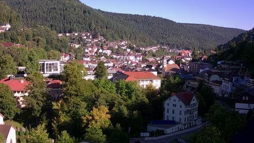 Webcam Bad Wildbad