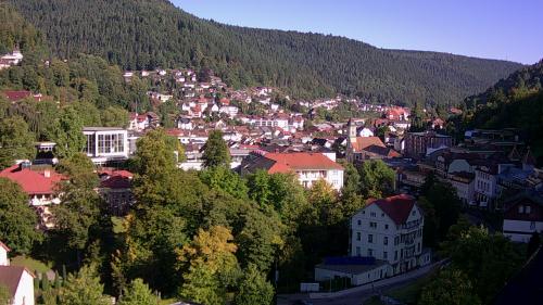 Webcam Bad Wildbad