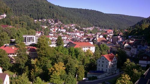 Webcam Bad Wildbad