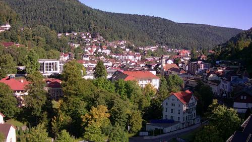 Webcam Bad Wildbad