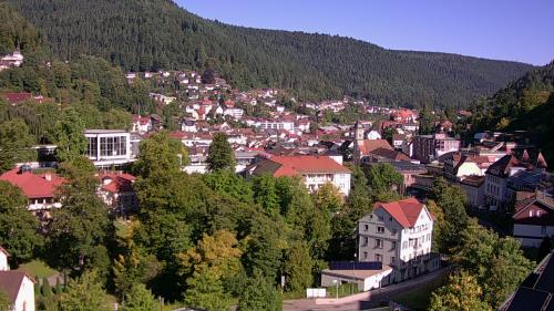 Webcam Bad Wildbad