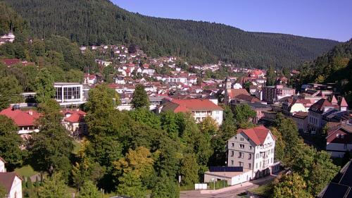 Webcam Bad Wildbad