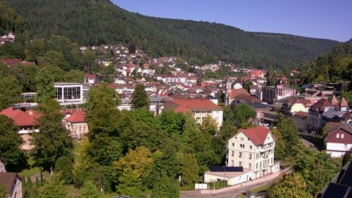 Webcam Bad Wildbad
