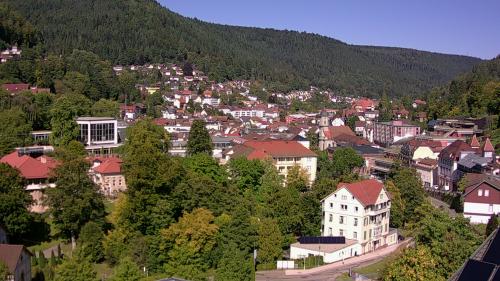 Webcam Bad Wildbad