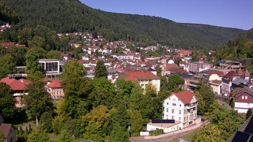 Webcam Bad Wildbad