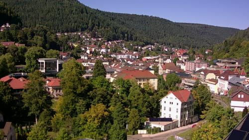 Webcam Bad Wildbad