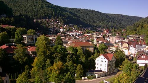 Webcam Bad Wildbad