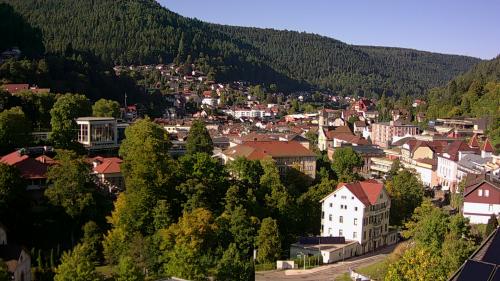 Webcam Bad Wildbad