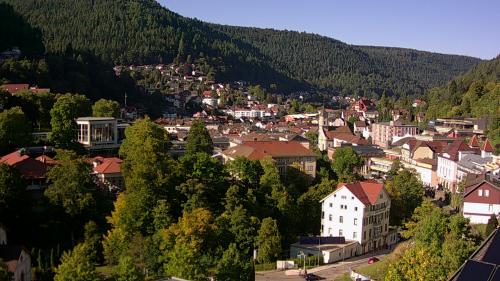 Webcam Bad Wildbad