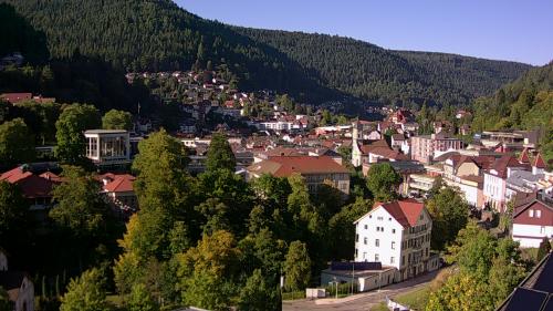 Webcam Bad Wildbad
