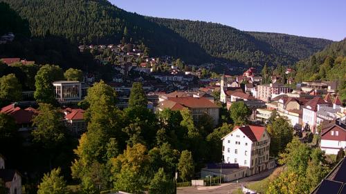 Webcam Bad Wildbad