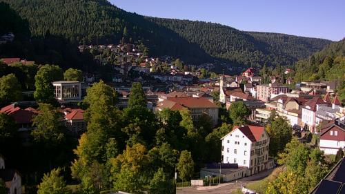 Webcam Bad Wildbad